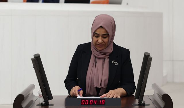 Van Milletvekili Gülderen Varlı’dan, Zilan Katliamı'nın araştırılması için Meclis'e önerge