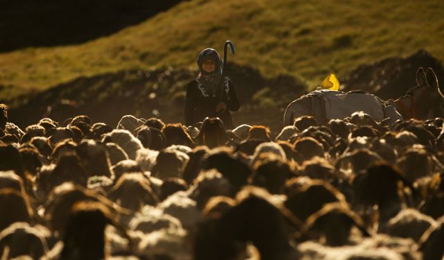 Tatvan’daki yayla göçünde görsel şölen yaşandı
