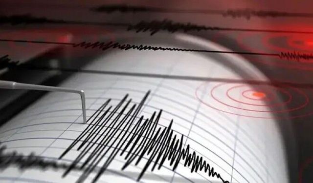 Van’da deprem paniğe neden oldu