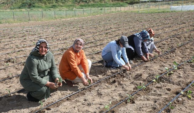 Kadın Kent Bostanı’nda ikinci sezon heyecanı