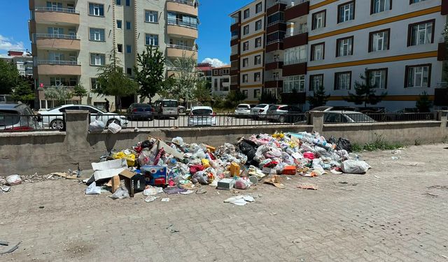 Erciş Belediyesi’nden çevre duyarlılığı çağrısı: “Temiz bir Erciş hepimizin sorumluluğu”