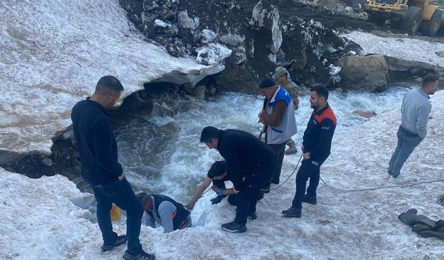 Hakkari’de hayvan kurtarma seferberliği