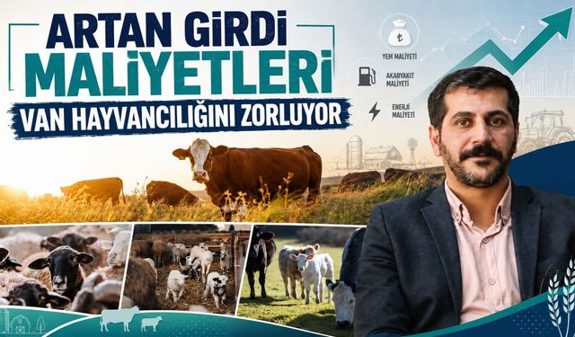 Van'da hayvancılık sektörü darboğazda