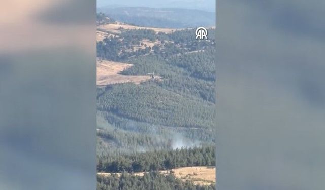 Gaziantep'teki orman yangını kontrol altına alındı: 3 hektarlık alan zarar gördü