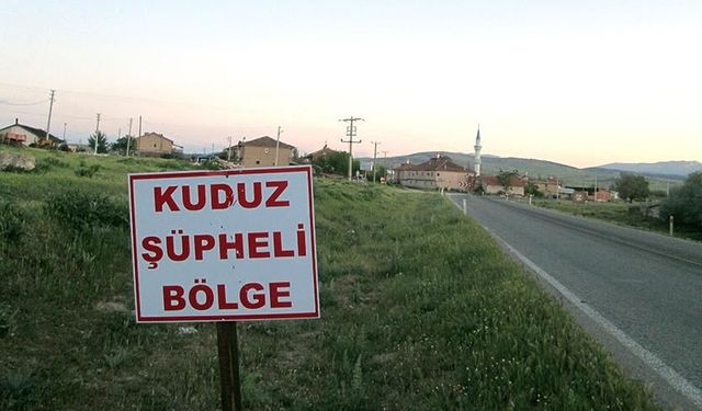 Edremit’te kuduz alarmı! Birçok mahalle karantinaya alındı