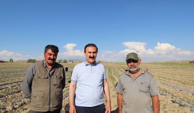 Nayif Süer’den Gevaş’ta tarım mesaisi: “Üreticinin en büyük sorunu pazar”
