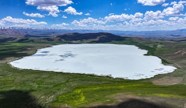 Van’daki doğal güzellik Akgöl, yeniden canlandı