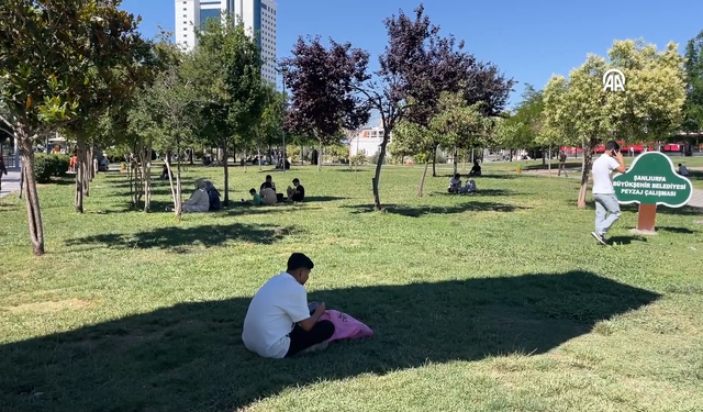 Şanlıurfa'da sıcaklık 43 dereceye ulaştı