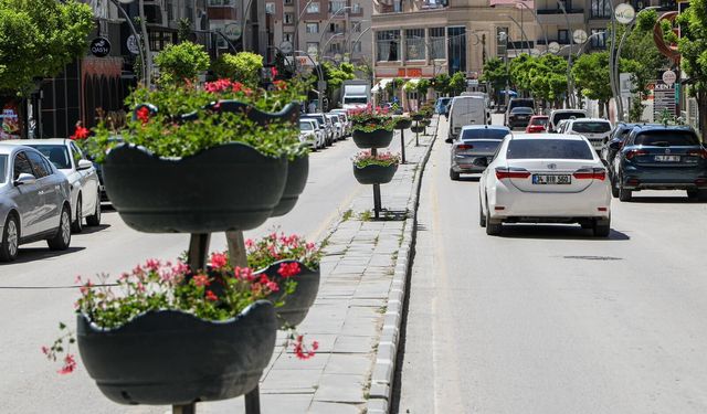 Van’ın ana caddeleri sardunya çiçekleriyle donatıldı