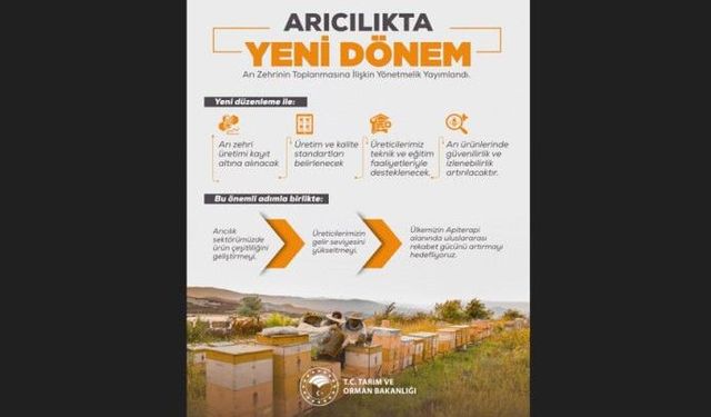 Arı zehri üretiminde yeni dönem: Yönetmelik Resmi Gazete'de yayımlandı