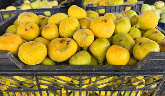 Dünyaca ünlü incirleri tezgâhlardaki yerini aldı