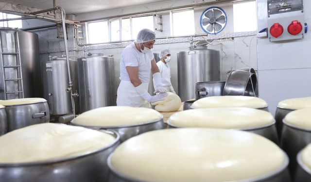 Kars’ın kaşar ve gravyeri Avrupa yolunda