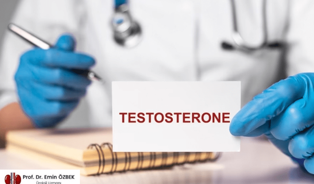 "Erkek üreme krizi kapıda" uyarısı: Testosteron seviyesi son 50 yılda yarı yarıya düştü
