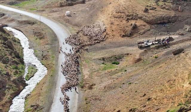 Van yaylalarında kartpostallık görüntüler: Sürüler kar, dere ve dağları aşıyor