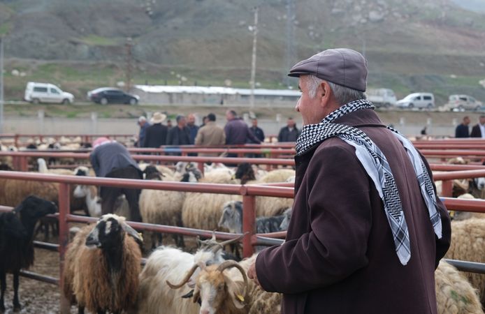 Küçükbaşa Destek Projesi”nin ilk etap sonuçları açıklandı