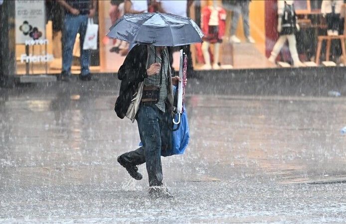 Meteoroloji 1 haftalık hava tahminini açıkladı: Van'da gök gürültülü sağanak bekleniyor