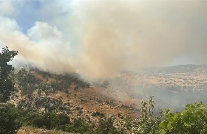 Diyarbakır'da ormanlık alanda yangın çıktı