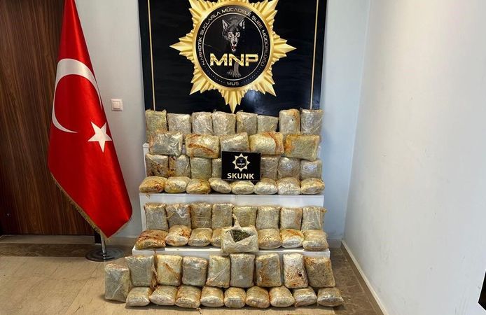 Muş'ta otomobilde 60 kilogram esrar ele geçirildi