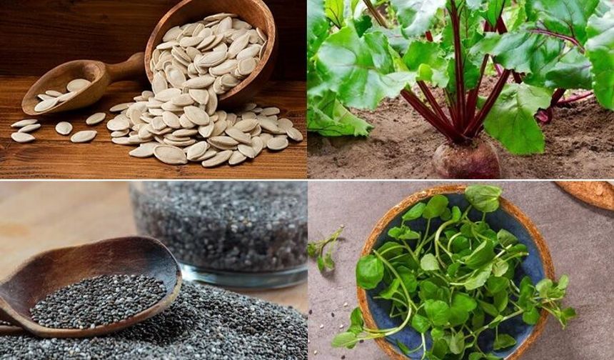 Analizler belirledi: Sofranıza eklenmesi gereken 7 güçlü besin!