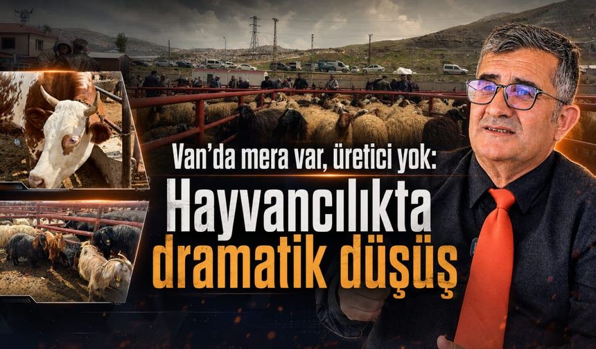 Van’da mera var, üretici yok: Hayvancılıkta dramatik düşüş