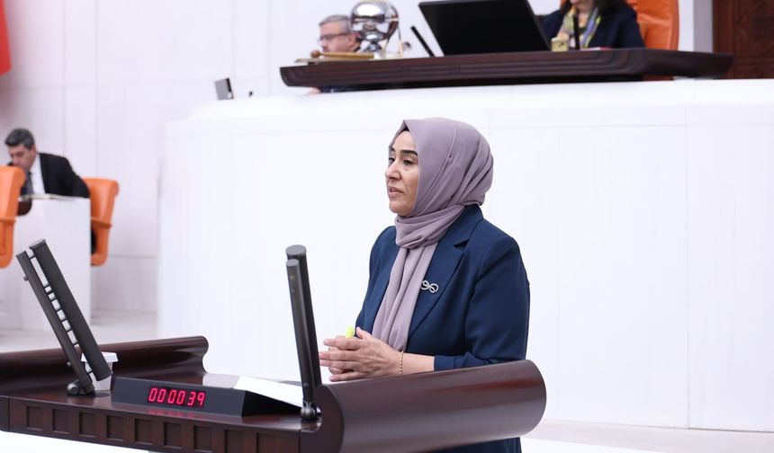 DEM Partili Varlı'dan Rojin Kabaiş ve Gülistan Doku için 5 bakanlığa soru önergesi
