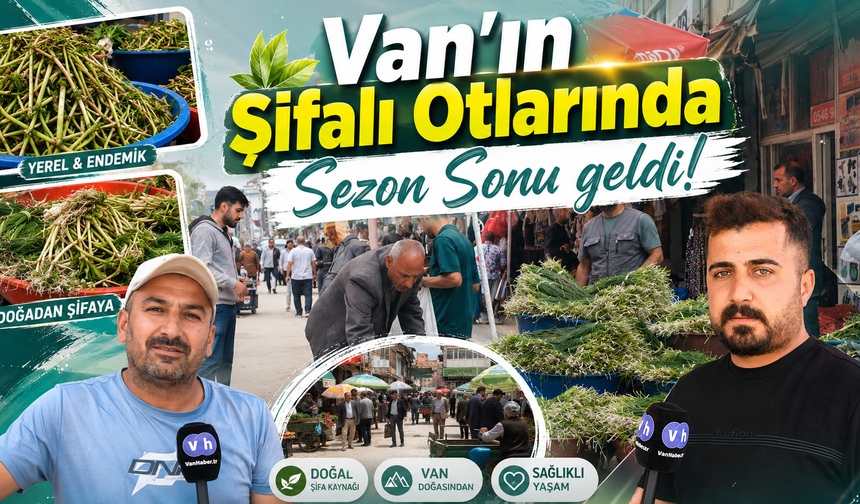 Van’ın şifalı otlarında sezon sonu geldi