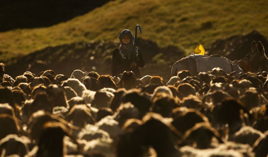 Tatvan’daki yayla göçünde görsel şölen yaşandı