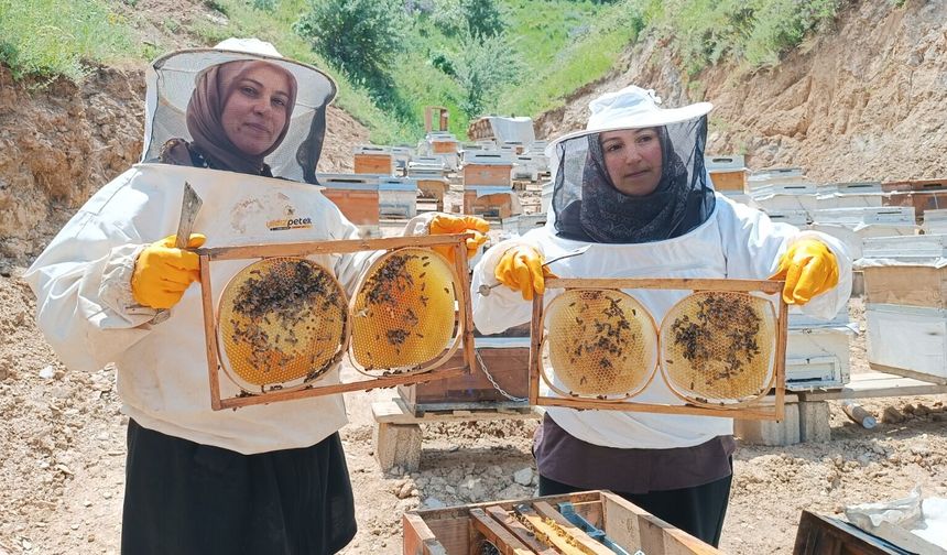 Tatvan'da yenge ve görümce omuz omuza verdi: Hedefleri 500 kovan