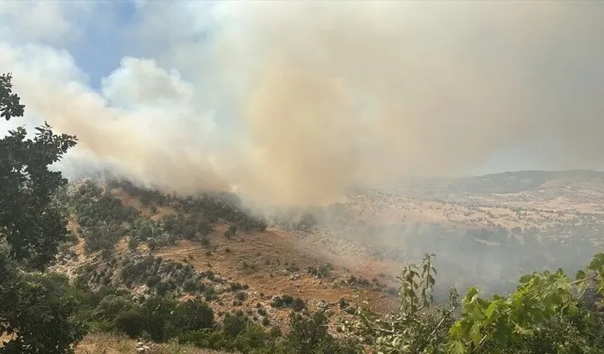 Diyarbakır'da ormanlık alanda yangın çıktı