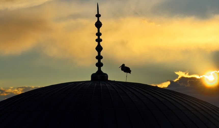 Iğdır Ulu Camisi'nde kartpostallık manzara: Leylek gün batımında görüntülendi