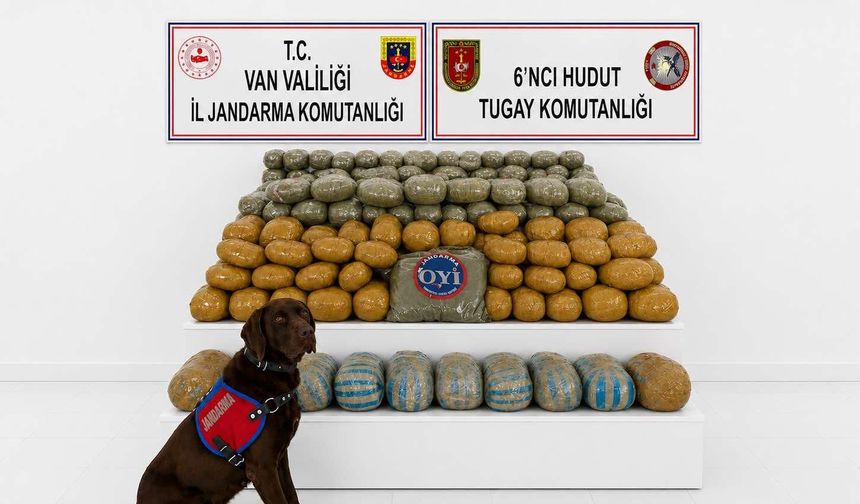 Van’da uyuşturucu operasyonu: 291 kilo esrar ele geçirildi