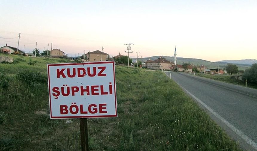 Edremit’te kuduz alarmı! Birçok mahalle karantinaya alındı