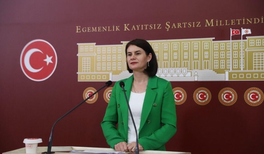 Gülcan Kaçmaz Sayyiğit Meclis'ten seslendi: “Van’da otogar ve sağlık altyapısı yetersiz”