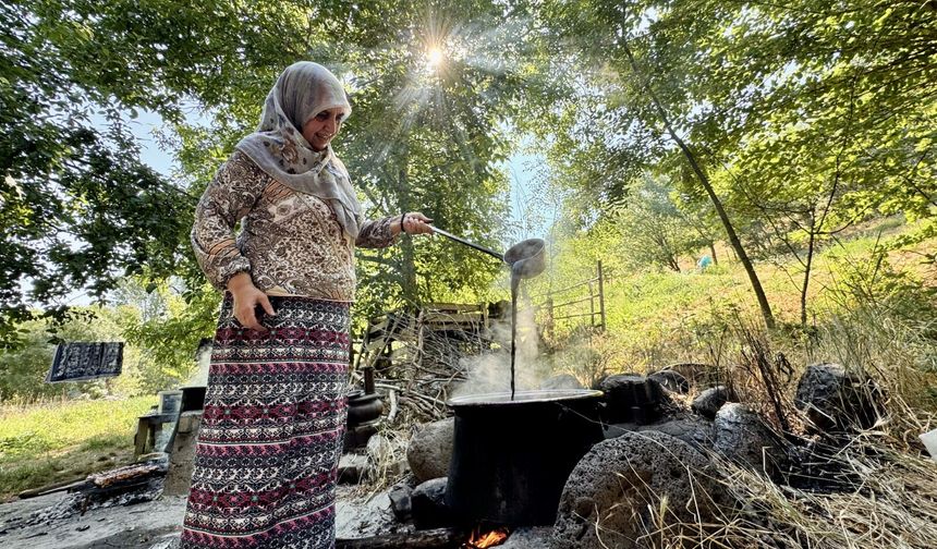 Bingöl'ün tescilli lezzeti Sivan dut pekmezinin zorlu mesaisi
