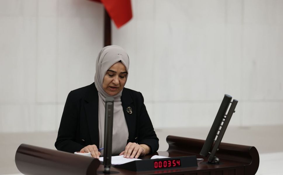 Gülderen Varlı: Van’daki sorunların temel nedeni kayyım politikalarıdır