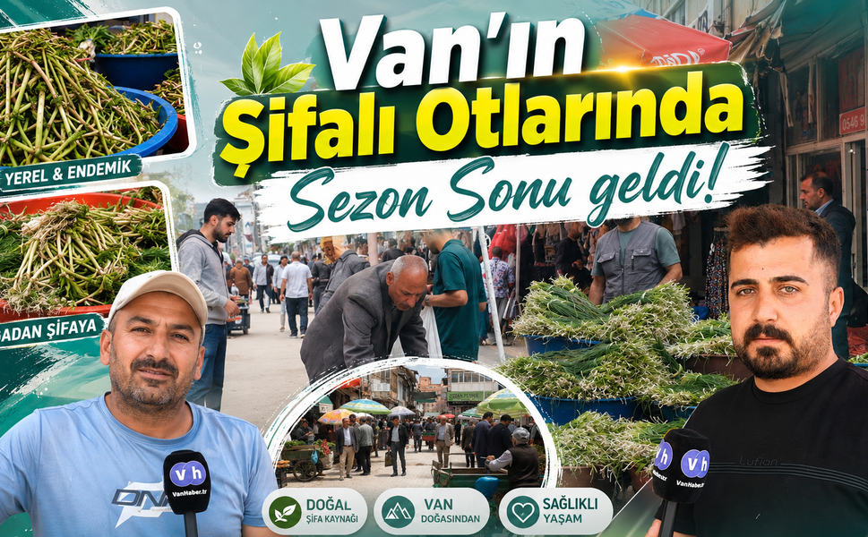 Van’ın şifalı otlarında sezon sonu geldi