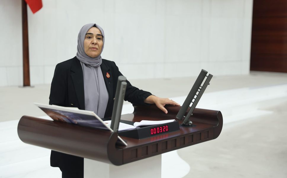 Gülderen Varlı: "Kayyım politikaları kenti susuz ve yoksul bıraktı"