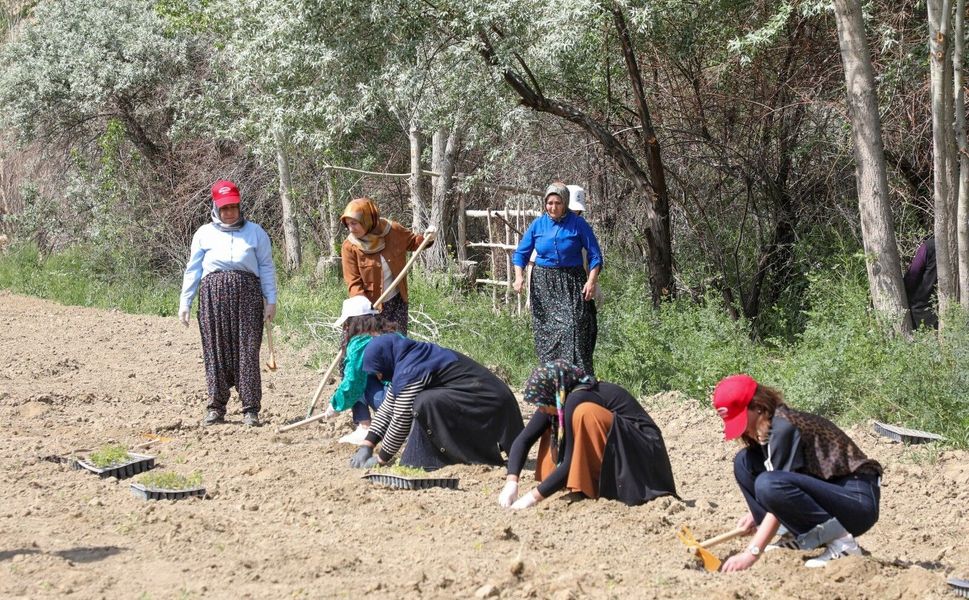 Gürpınar'da kadın komün bahçesi hayat buldu: Yüzlerce fide toprakla buluştu