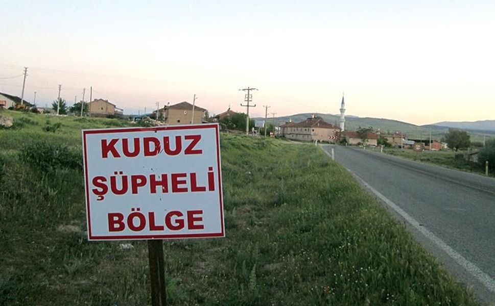 Edremit’te kuduz alarmı! Birçok mahalle karantinaya alındı