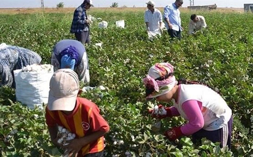 Van Milletvekili Sinan Çiftyürek: Mevsimlik tarım işçilerinin sorunlarını yerinde dinleyeceğiz
