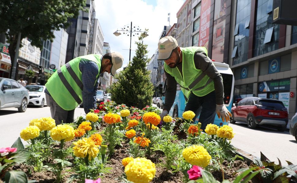 Van Büyükşehir Belediyesi Kazım Karabekir Caddesi'ni çiçeklerle renklendirdi