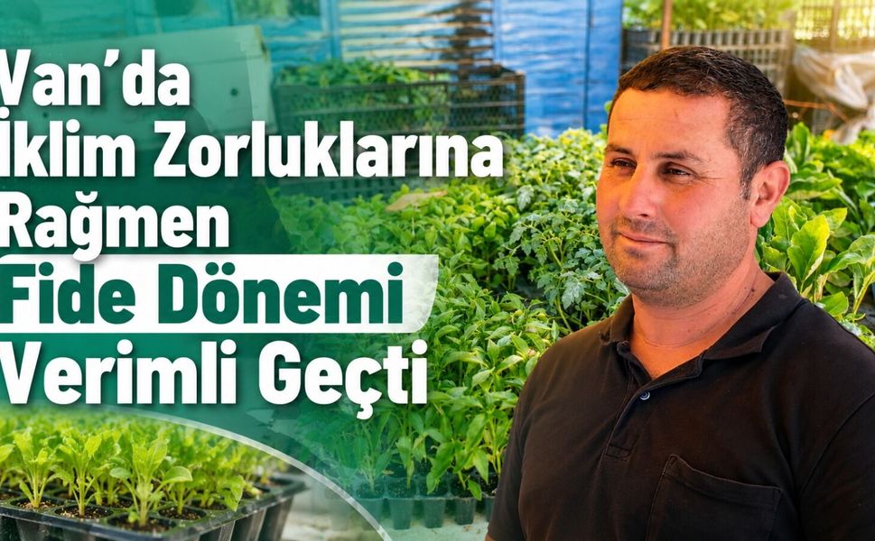 Van’da iklim zorluklarına rağmen fide dönemi verimli geçti