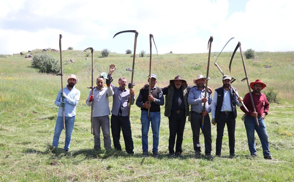 Ağrılı ve Karslı çiftçiler kış hazırlığı için tırpan mesaisinde