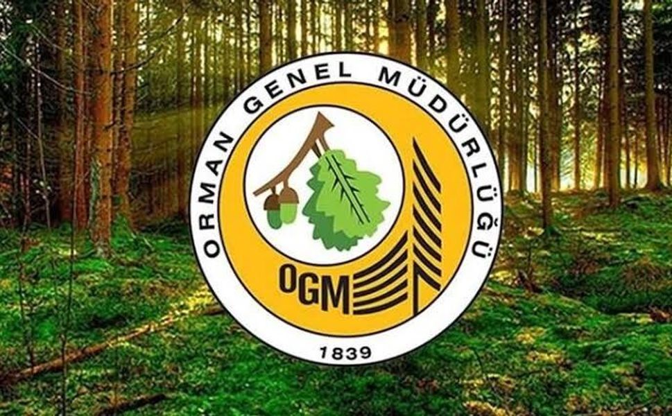 Orman Genel Müdürlüğü’nden yangın uyarısı: Türkiye, İspanya'ya destek gönderdi