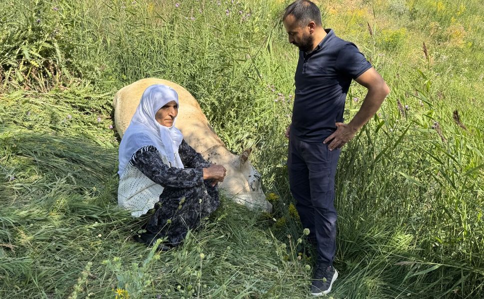 Yüksekova'da üzüntü mutluluğa dönüştü, hayırseverler Ayni teyzeye destek oldu