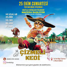 Cizmeli Kedi-1
