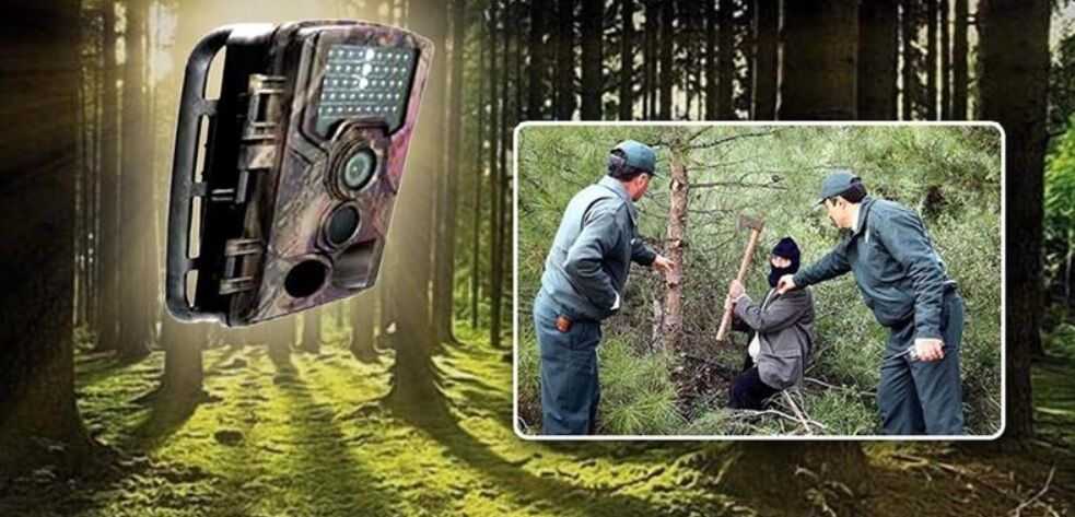 Fotokapan.jp