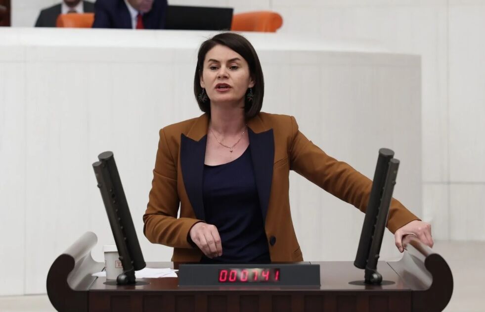 Gülcan Kaçmaz Van Vekil