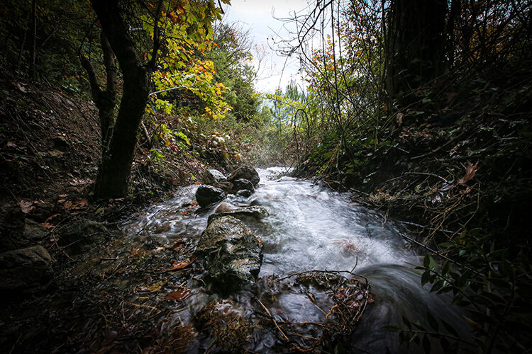 Sındırgı (2)
