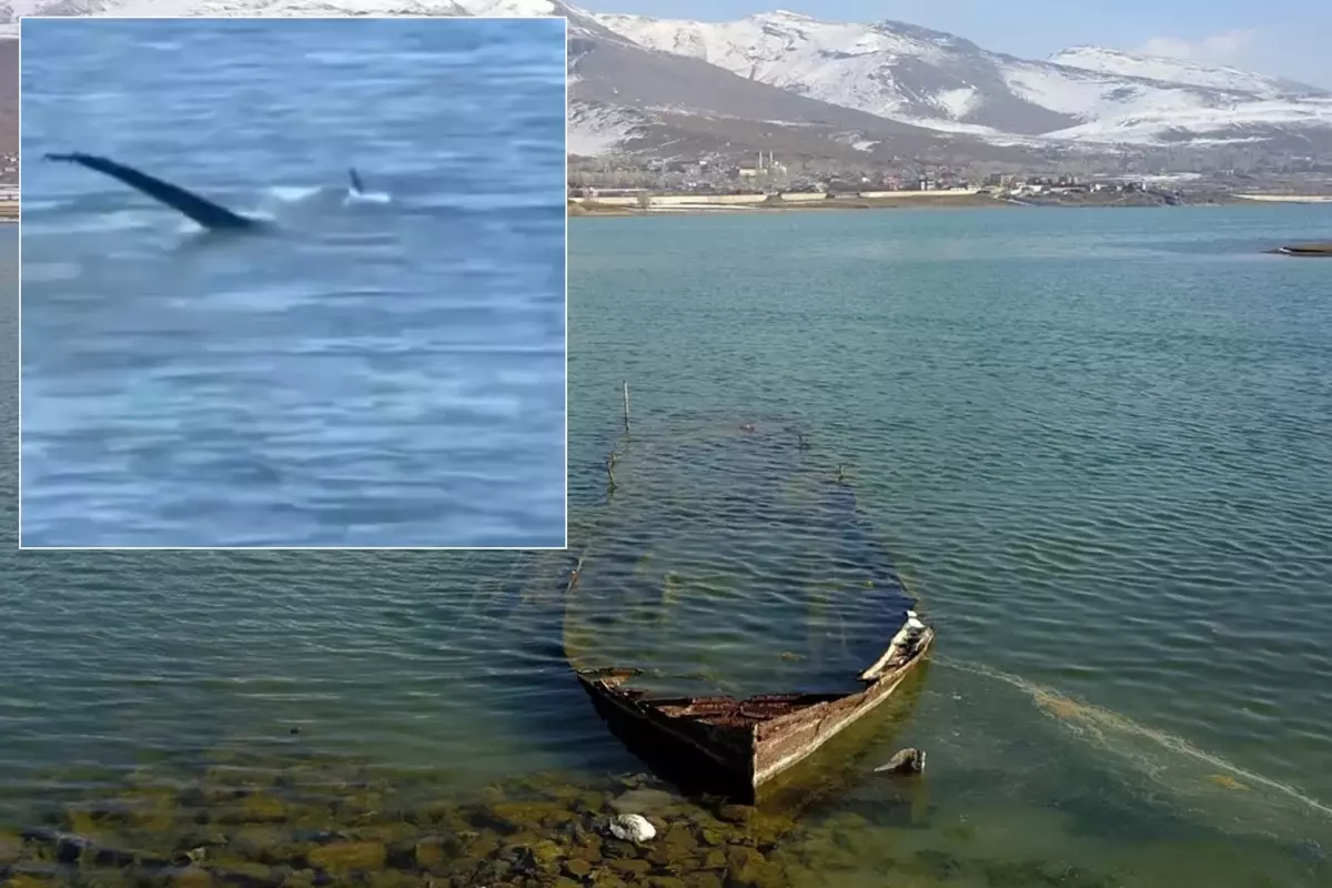Vangolu Cenavari